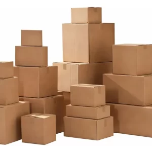 CAJA DE CARTON (20 X 20 X 10 CM)