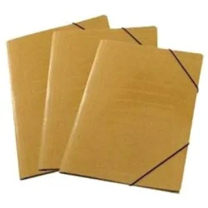 CARPETA 3 SOLAPAS C/ ELASTICO.