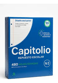 REPUESTO ESCOLAR CAPITOLIO X 480 HOJAS.