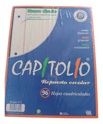 REPUESTO ESCOLAR CAPITOLIO X 96 HOJAS.