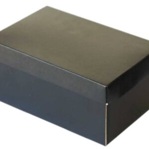 CAJAS LISAS PLASTIFICADAS MEDIANAS. TIPO ZAPATO. MEDIDAS 48 X 33 X 18 CM.